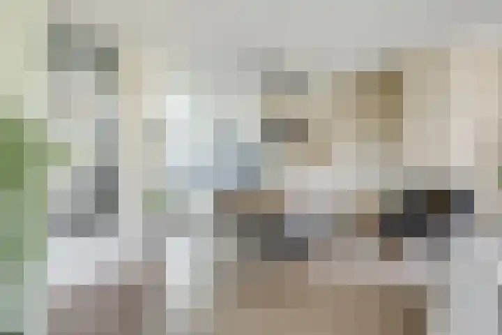 Sneeuwgans 7 Nieuwegein thumbnail 17