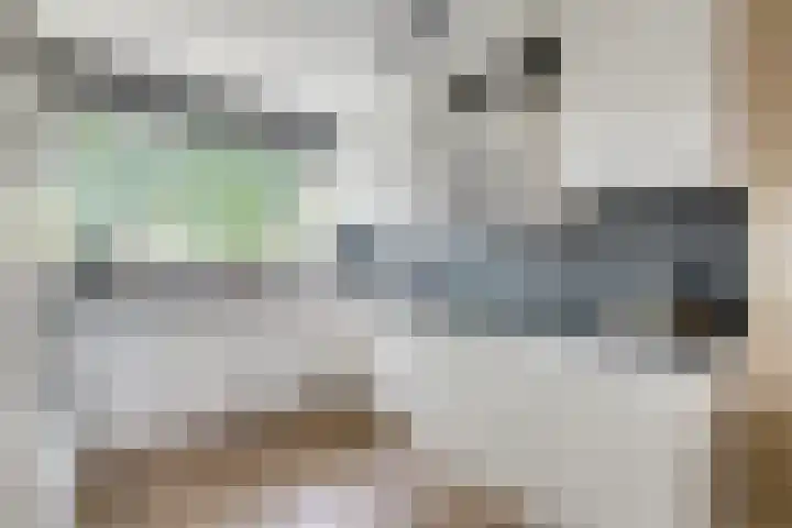 Sneeuwgans 7 Nieuwegein thumbnail 18