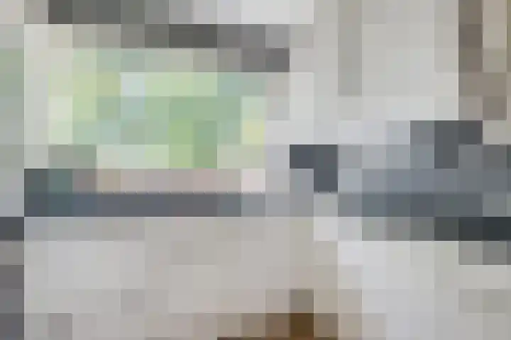 Sneeuwgans 7 Nieuwegein thumbnail 20