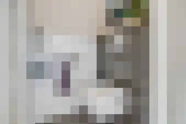 Sneeuwgans 7 Nieuwegein thumbnail 22
