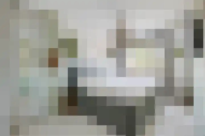 Sneeuwgans 7 Nieuwegein thumbnail 23