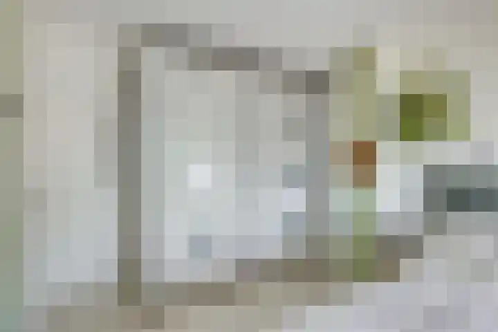 Sneeuwgans 7 Nieuwegein thumbnail 24