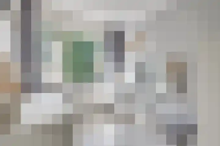 Sneeuwgans 7 Nieuwegein thumbnail 25