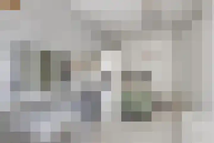 Sneeuwgans 7 Nieuwegein thumbnail 26
