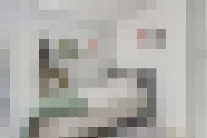 Sneeuwgans 7 Nieuwegein thumbnail 27