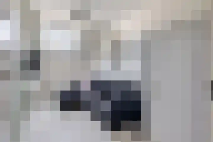 Sneeuwgans 7 Nieuwegein thumbnail 28