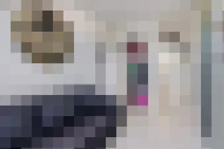 Sneeuwgans 7 Nieuwegein thumbnail 29