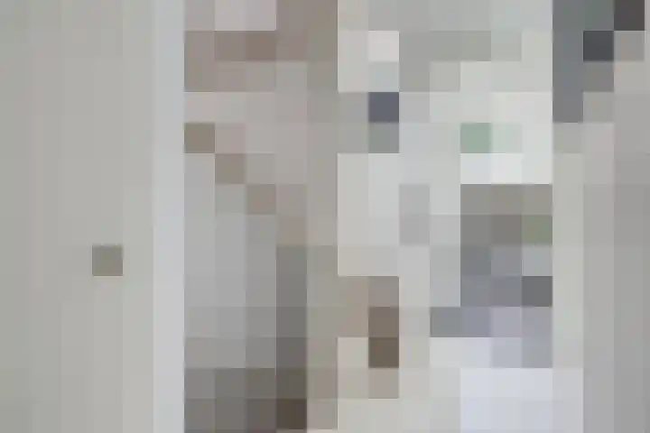 Sneeuwgans 7 Nieuwegein thumbnail 30