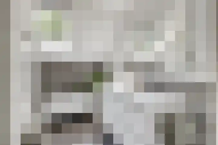 Sneeuwgans 7 Nieuwegein thumbnail 31