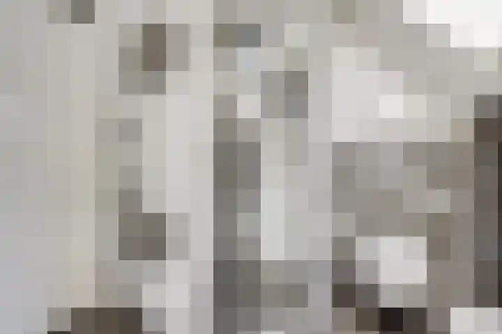 Sneeuwgans 7 Nieuwegein thumbnail 32