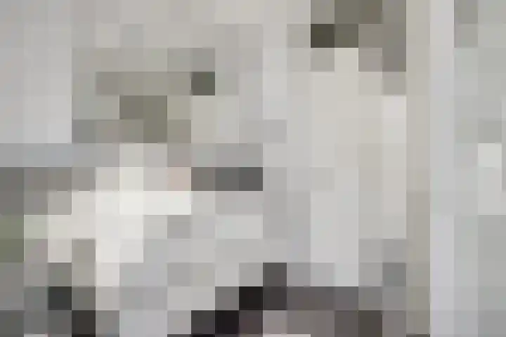 Sneeuwgans 7 Nieuwegein thumbnail 33