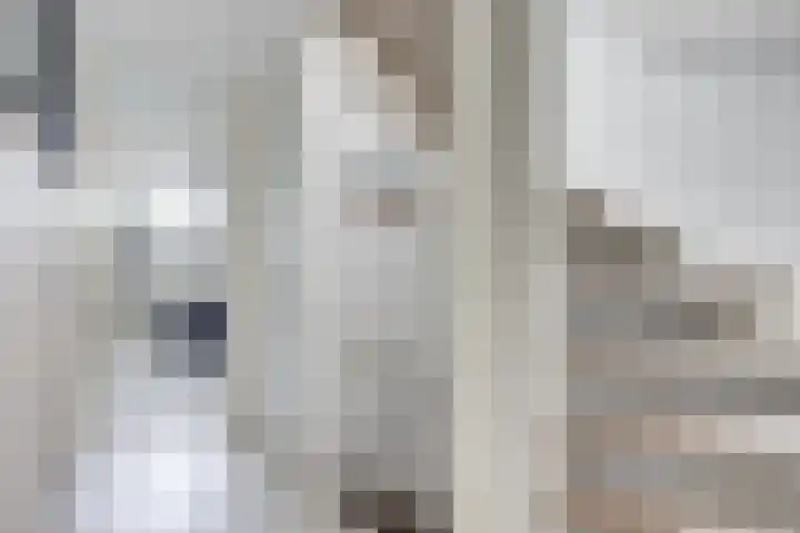Sneeuwgans 7 Nieuwegein thumbnail 34