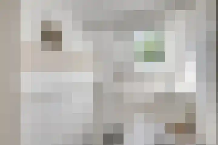 Sneeuwgans 7 Nieuwegein thumbnail 35