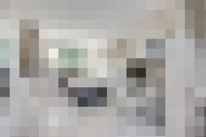 Sneeuwgans 7 Nieuwegein thumbnail 36