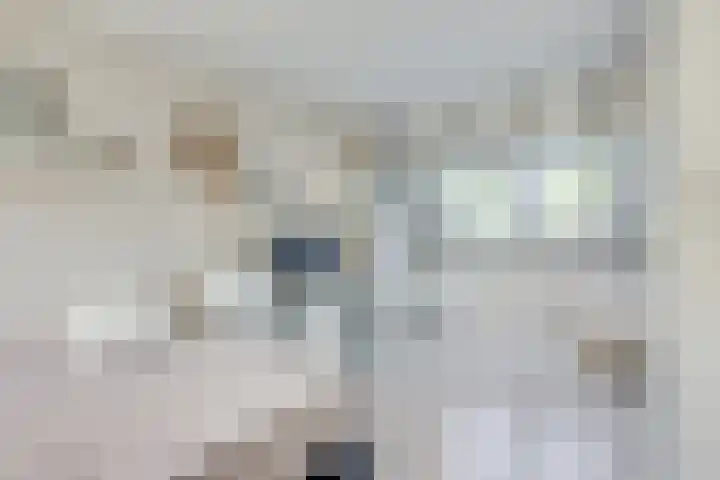 Sneeuwgans 7 Nieuwegein thumbnail 37