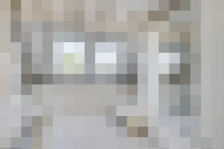 Sneeuwgans 7 Nieuwegein thumbnail 38