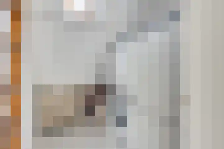 Sneeuwgans 7 Nieuwegein thumbnail 39