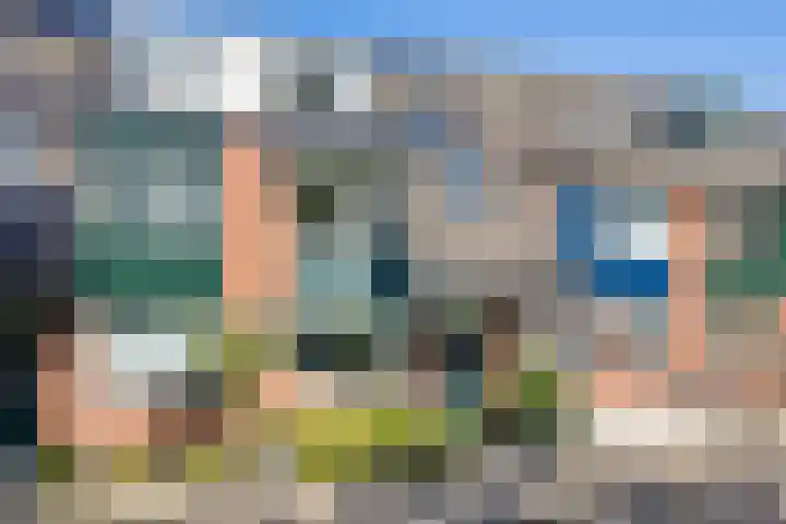 Sneeuwgans 7 Nieuwegein thumbnail 4