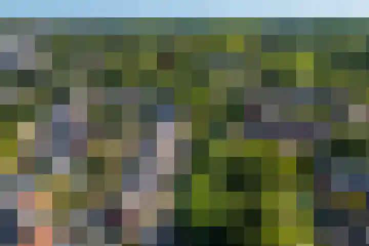 Sneeuwgans 7 Nieuwegein thumbnail 40