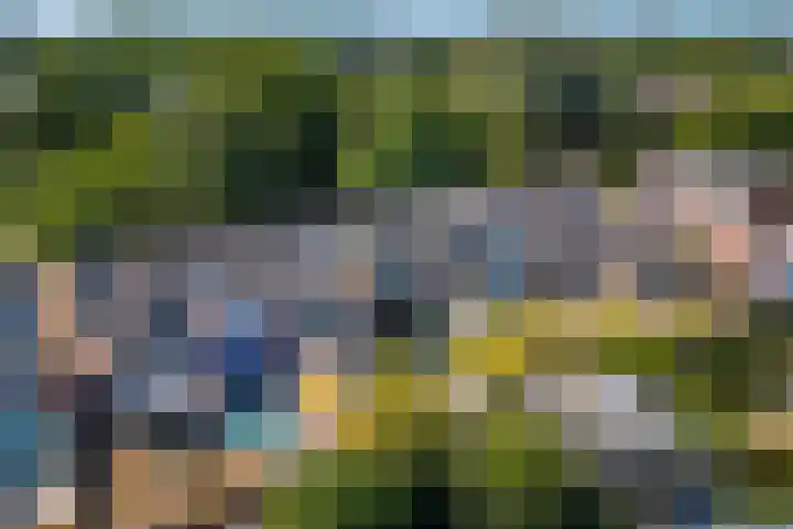Sneeuwgans 7 Nieuwegein thumbnail 41
