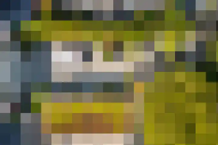 Sneeuwgans 7 Nieuwegein thumbnail 42