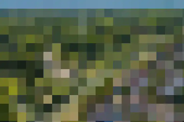 Sneeuwgans 7 Nieuwegein thumbnail 43