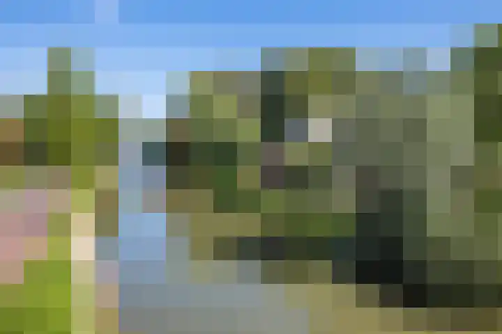 Sneeuwgans 7 Nieuwegein thumbnail 44
