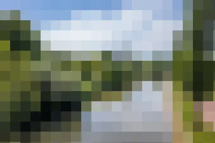 Sneeuwgans 7 Nieuwegein thumbnail 45