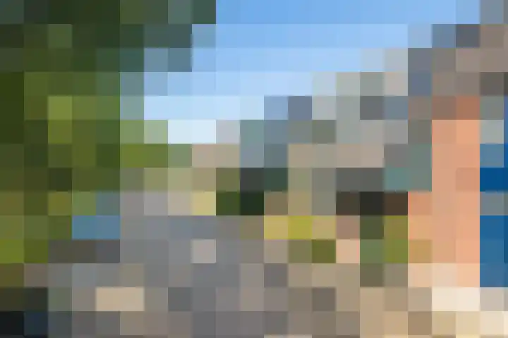 Sneeuwgans 7 Nieuwegein thumbnail 46