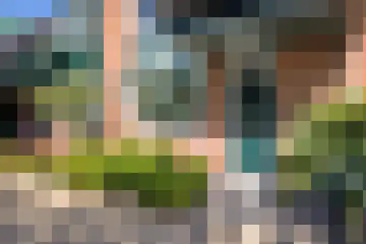 Sneeuwgans 7 Nieuwegein thumbnail 5