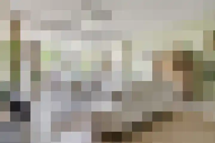 Sneeuwgans 7 Nieuwegein thumbnail 7