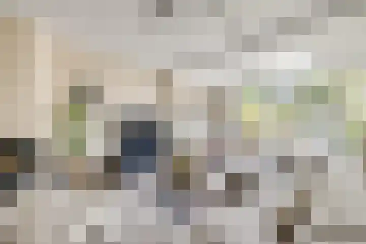 Sneeuwgans 7 Nieuwegein thumbnail 8