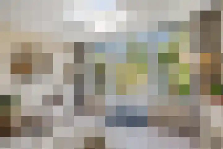 Sneeuwgans 7 Nieuwegein thumbnail 9