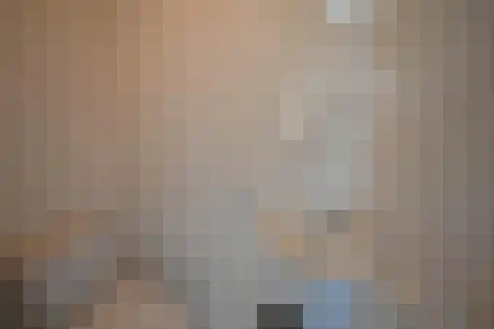 Sneeuwgors 7 Zoutelande thumbnail 10