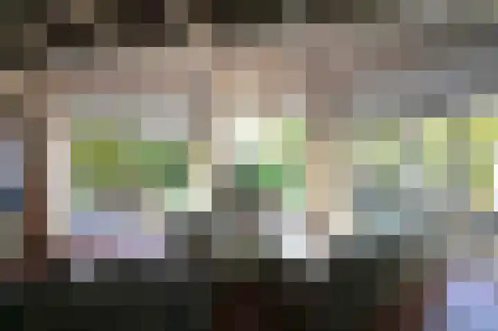 Sneeuwgors 7 Zoutelande thumbnail 11