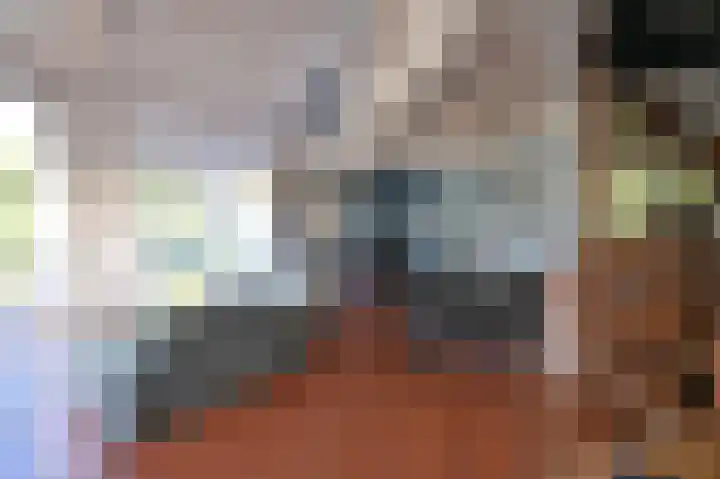 Sneeuwgors 7 Zoutelande thumbnail 14