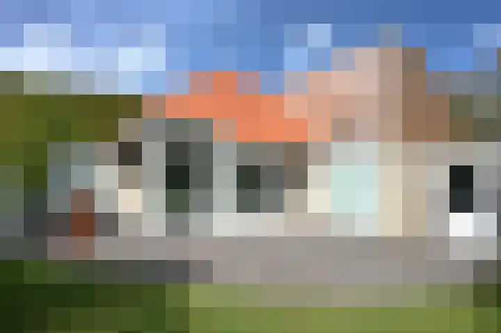 Sneeuwgors 7 Zoutelande thumbnail 17