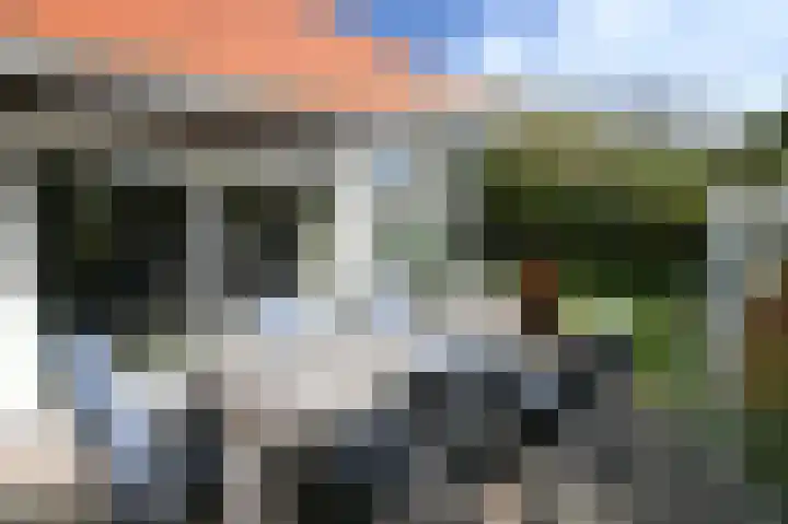 Sneeuwgors 7 Zoutelande thumbnail 18
