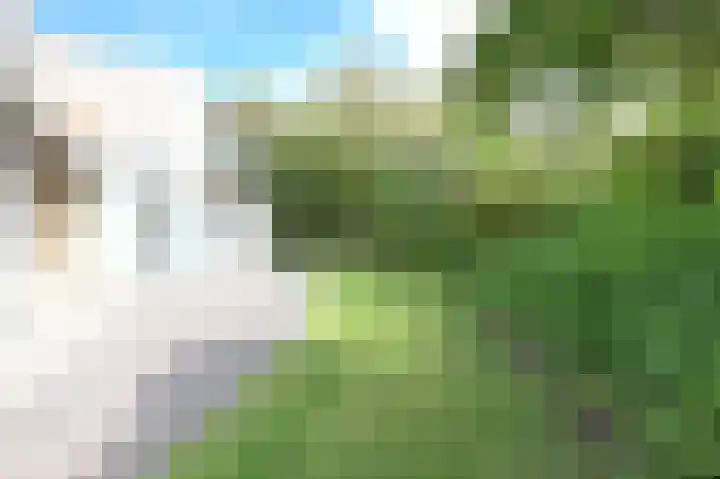 Sneeuwgors 7 Zoutelande thumbnail 20