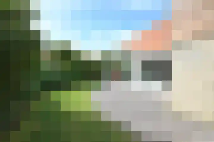 Sneeuwgors 7 Zoutelande thumbnail 21