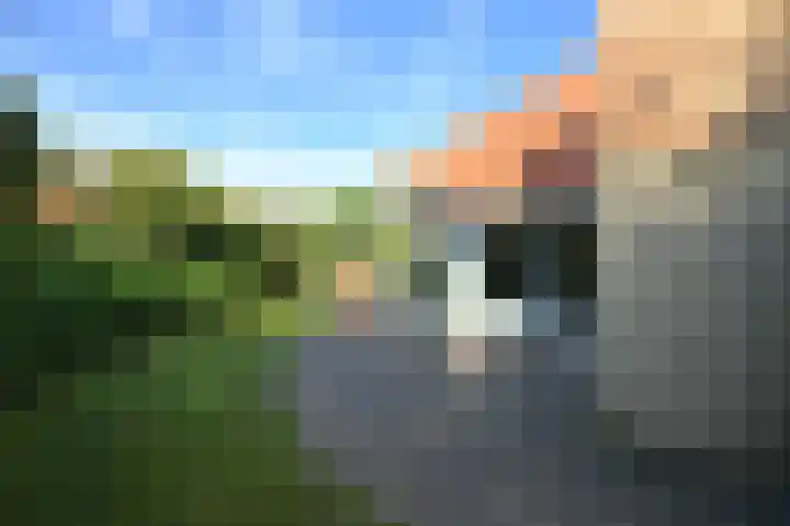 Sneeuwgors 7 Zoutelande thumbnail 22