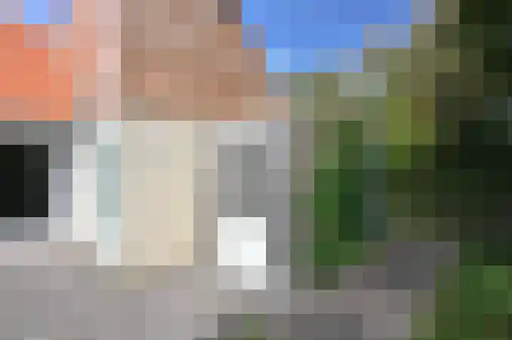 Sneeuwgors 7 Zoutelande thumbnail 23