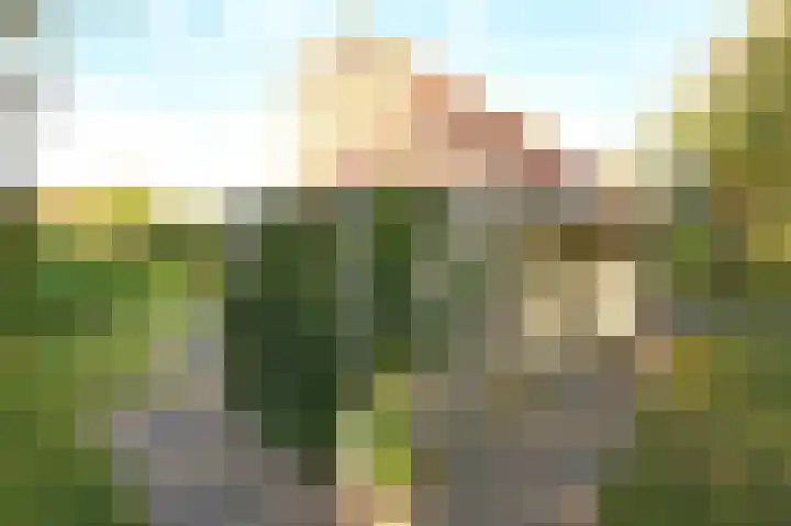Sneeuwgors 7 Zoutelande thumbnail 24