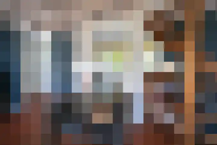 Sneeuwgors 7 Zoutelande thumbnail 25