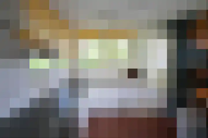 Sneeuwgors 7 Zoutelande thumbnail 26
