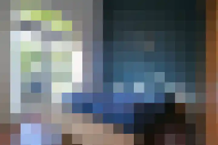Sneeuwgors 7 Zoutelande thumbnail 28