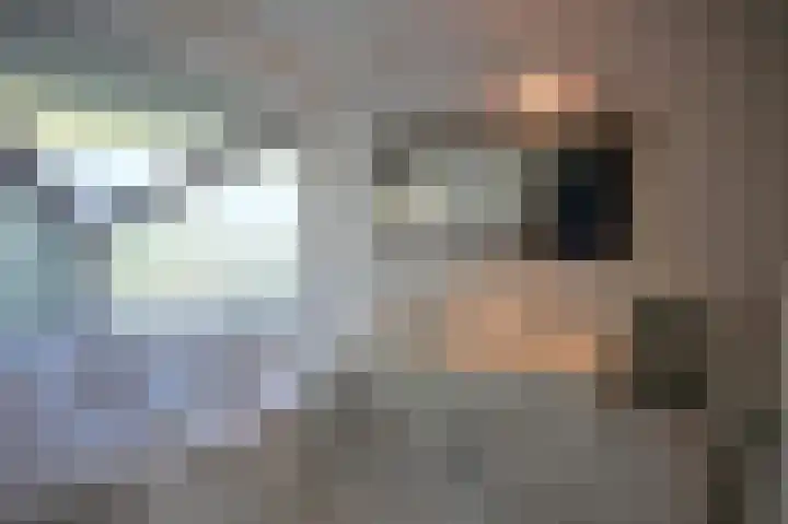Sneeuwgors 7 Zoutelande thumbnail 29