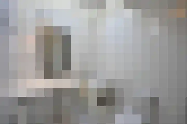 Sneeuwgors 7 Zoutelande thumbnail 35
