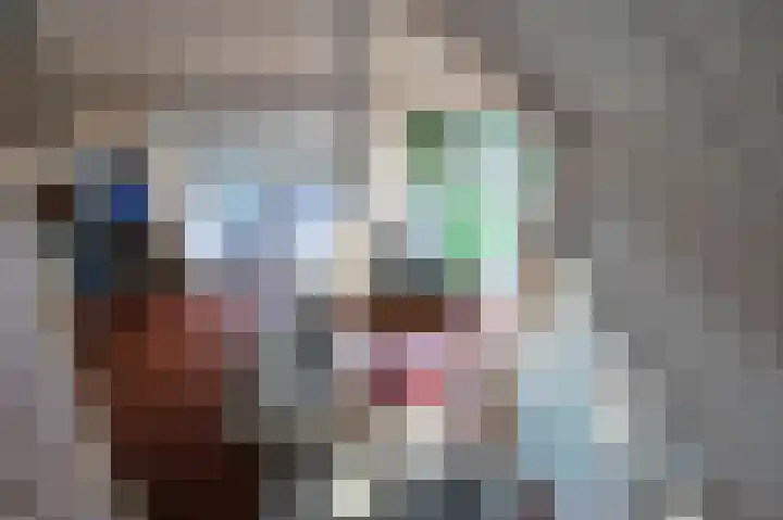 Sneeuwgors 7 Zoutelande thumbnail 40