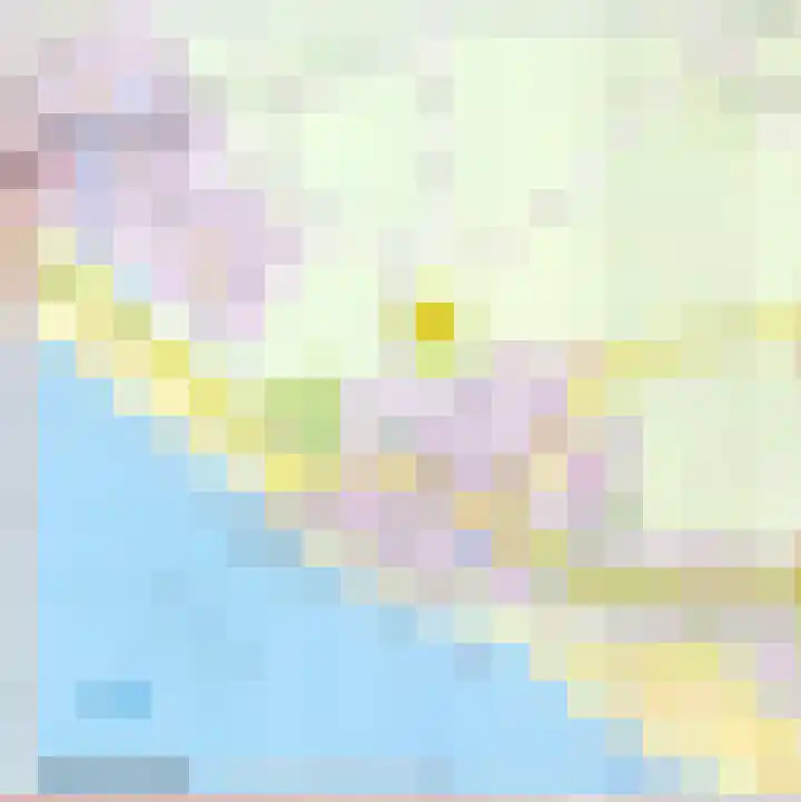 Sneeuwgors 7 Zoutelande thumbnail 41